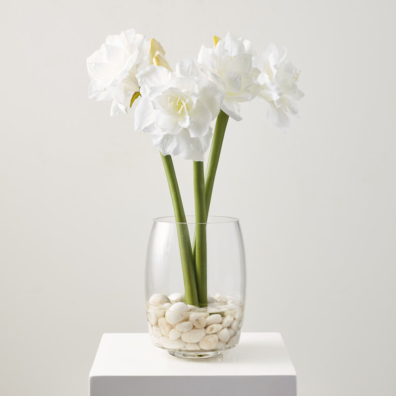 Amaryllis & River Rocks Everyday Amaryllis Floral Arrangements in Vase