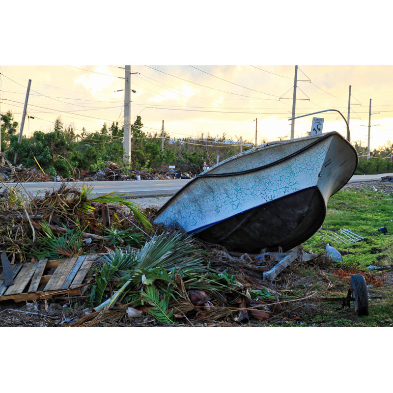 Debris On The Roadside by Shelly Bychowski - Wrapped Canvas Print, 20cm H x 30cm W