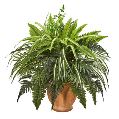 Mixed Greens and Fern Plant in Terra Cotta Planter