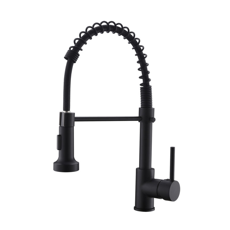 Kitchen Faucet With Pull Down Sprayer, Single Handle Single Lever Kitchen Sink Faucet