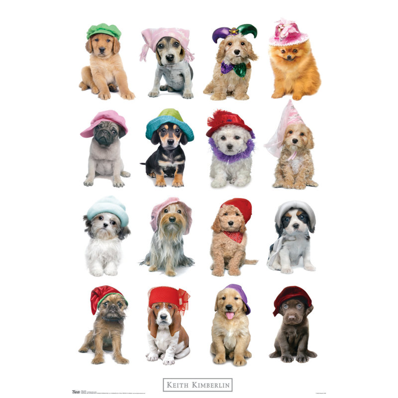 Impression sur papier kimberlin-décoratif avec chapeaux