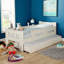 Daybed with Trundle