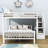 Delynne Kids Twin Over Full Bunk Bed-1247528934