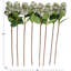 Tige de fleur artificielle Cole et Grey-1192675288-1192675292