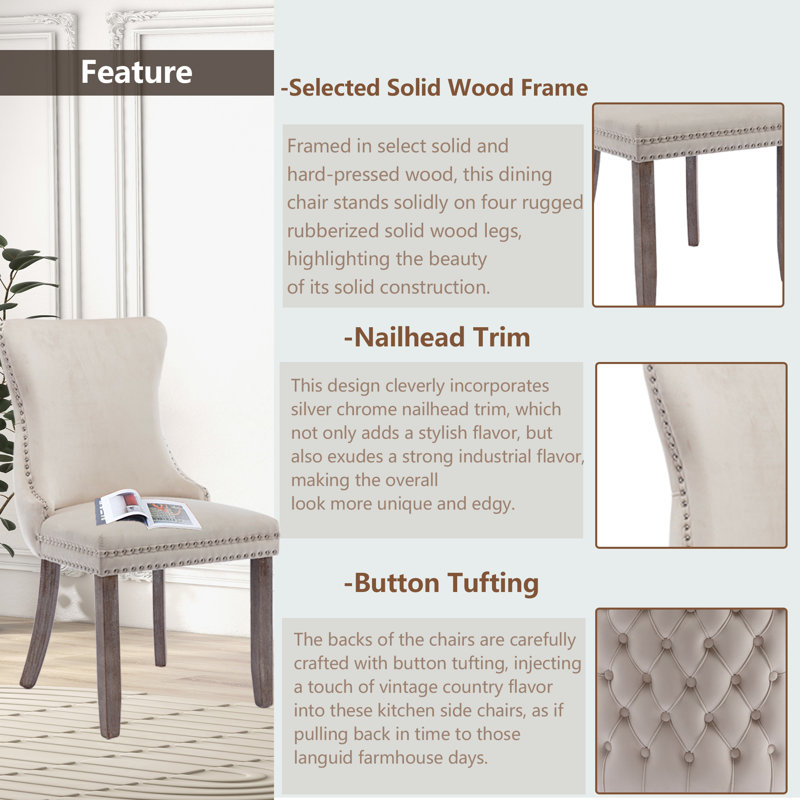 Beige Velvet Tufted Upholstered Side Chairs with Nailhead Trim, Set of 6