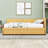 Modern Upholstered Daybed with Twin Trundle-902633063-902453522