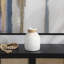 Bouteilles décoratives en terre cuite -559857869-559857868