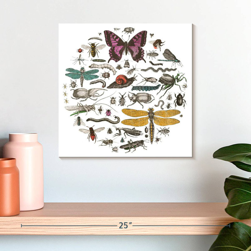 Brampt Insect Circle II Bright, 16" H x 16" W