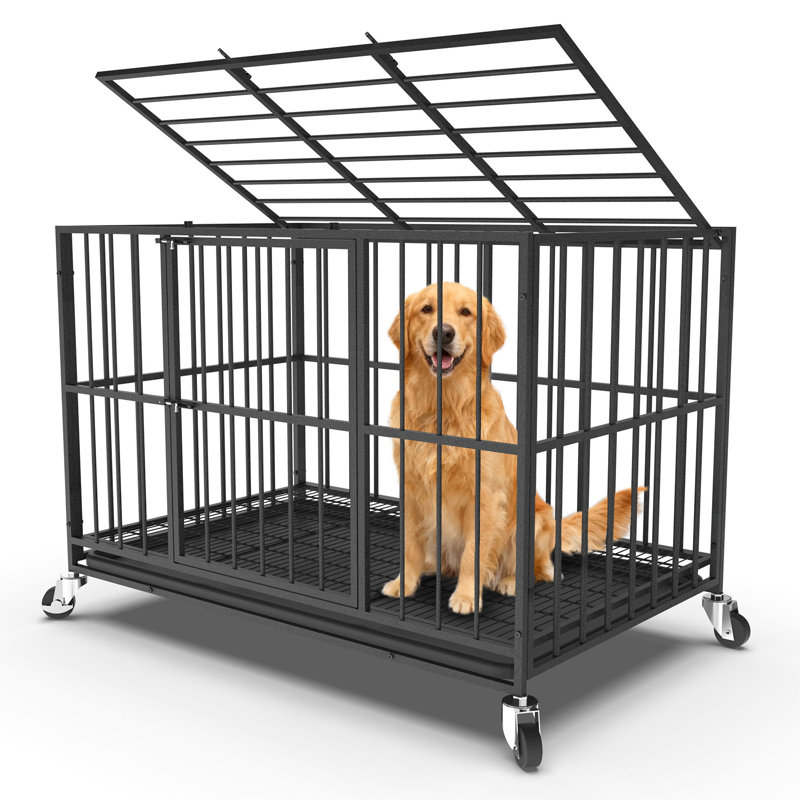 Meuble de 48 po en métal robuste avec roulettes verrouillables, cage intérieure pour chien avec plateau amovible et porte double, chenil pour chiens de grande / moyenne taille