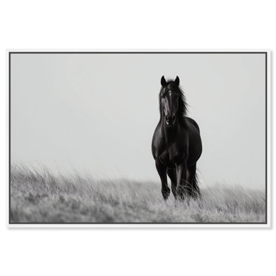 Lone Stallion I Print by Oliver Gal
