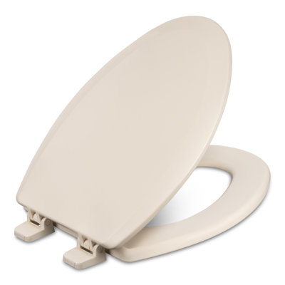 Elongated Toilet Seat and Lid