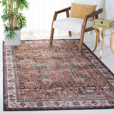 Pashen Performance Machine Washable Oriental Rug