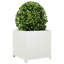 Ashvini Planter Box-501376786-501376798