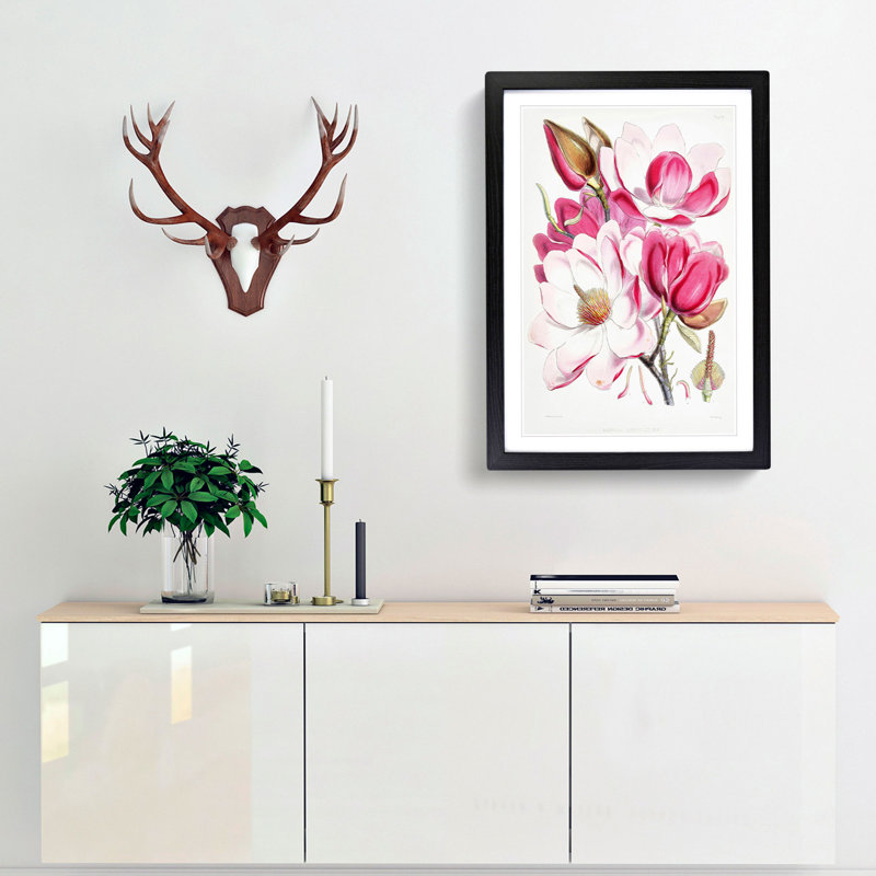 Himalayan Magnolia Flowers by W. H. Fitch - Picture Frame Painting Print, 36cm H x 27cm W x 2cm D, Black Framed
