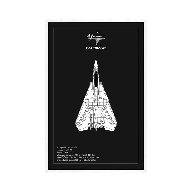 BP F-14-Tomcat by Mark Rogan - Print on Canvas, White Framed, 101.6 cm H x 66.04 cm W