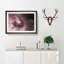 Swirling Passions in Abstract - Framed Print-55728385-55728388