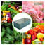 Planter Box-1024431509-1024431511
