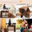 Lit superposé pour animaux de compagnie pour chiens et chats, marche amovible, multi-niveaux avec coussin à gratter, intérieur, coussin de siège solide et construction ferme