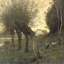 Landscape With Pollard Willow Print by Camille Corot