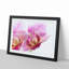 A Pink Orchid Flower - Framed Print-55450886-55450887