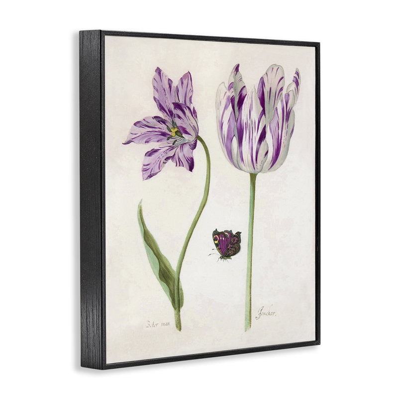 Deux tulipes à fleurs mauves, estampe numérique, design par Jacob Marell, Giclée encadrée noir minuit, H 30 po x l 24 po