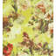 Les Papiers Floral Wallpaper Double Roll-74864050