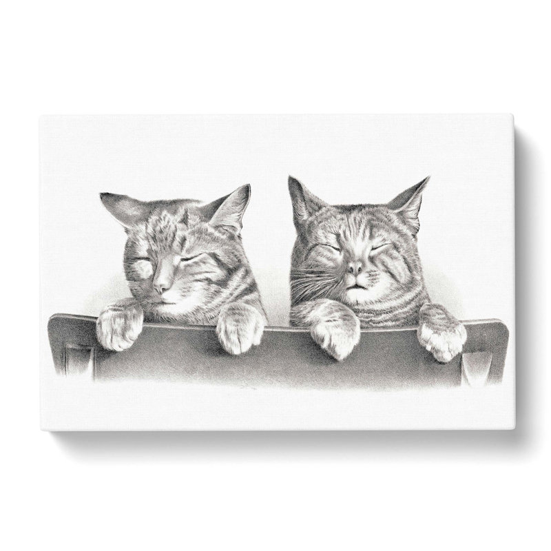 Cats by Thomas Hunter - Wrapped Canvas Print, 35cm H x 50cm W x 3cm D