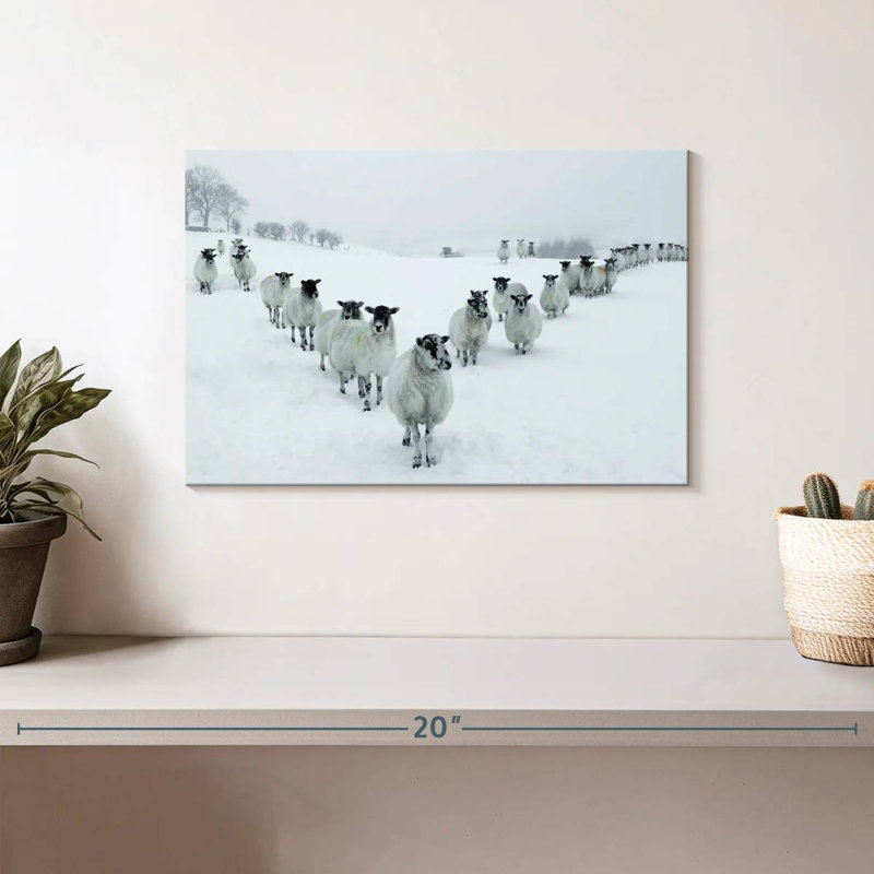 Brampt Winter Sheep, 8" H x 12" W