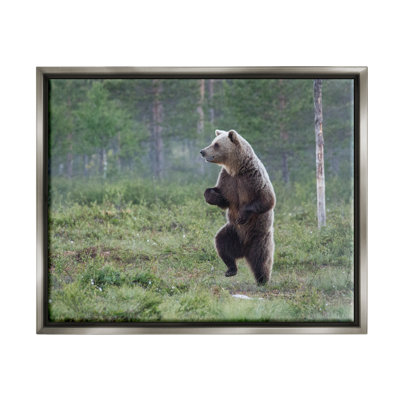 «Dancing Bear In Forest», reproduction d'art encadrée sur toile par Alex Jevon