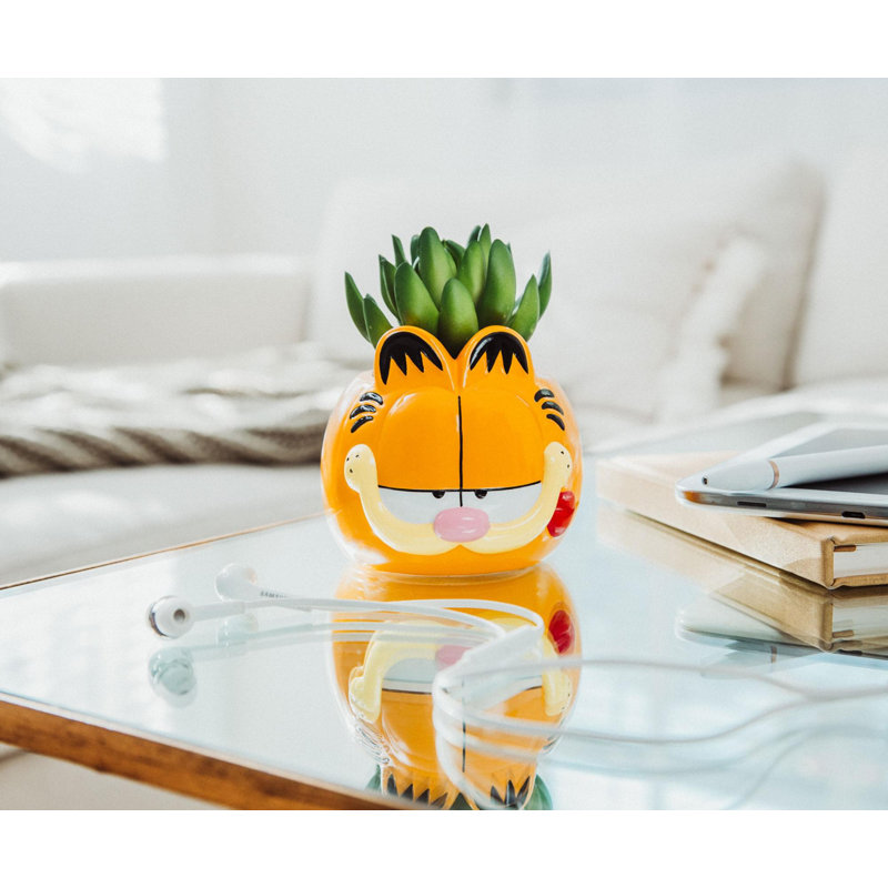 Plante de 6 po