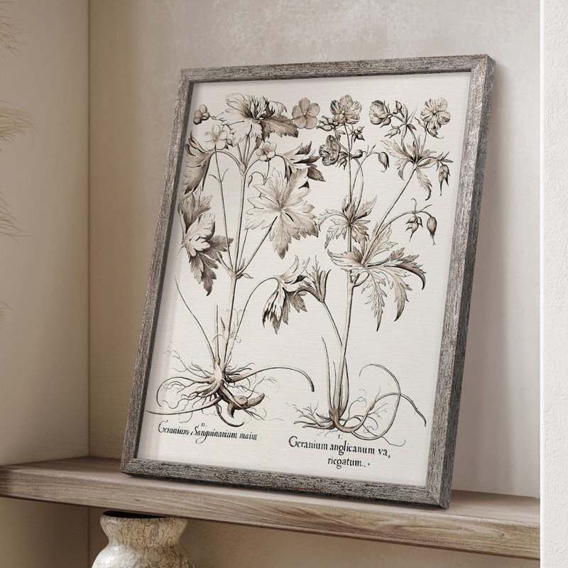 Sépia Besler Botanicals V, reproduction encadrée - bois massif, H 15 po x l 12 po