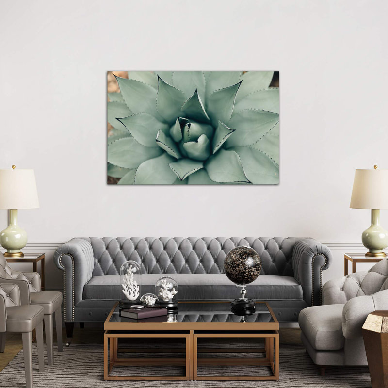 Mint Succulent I 1 Piece Floater Frame Wall Art on Canvas, 20.32 cm H x 30.48 cm W, No Frame