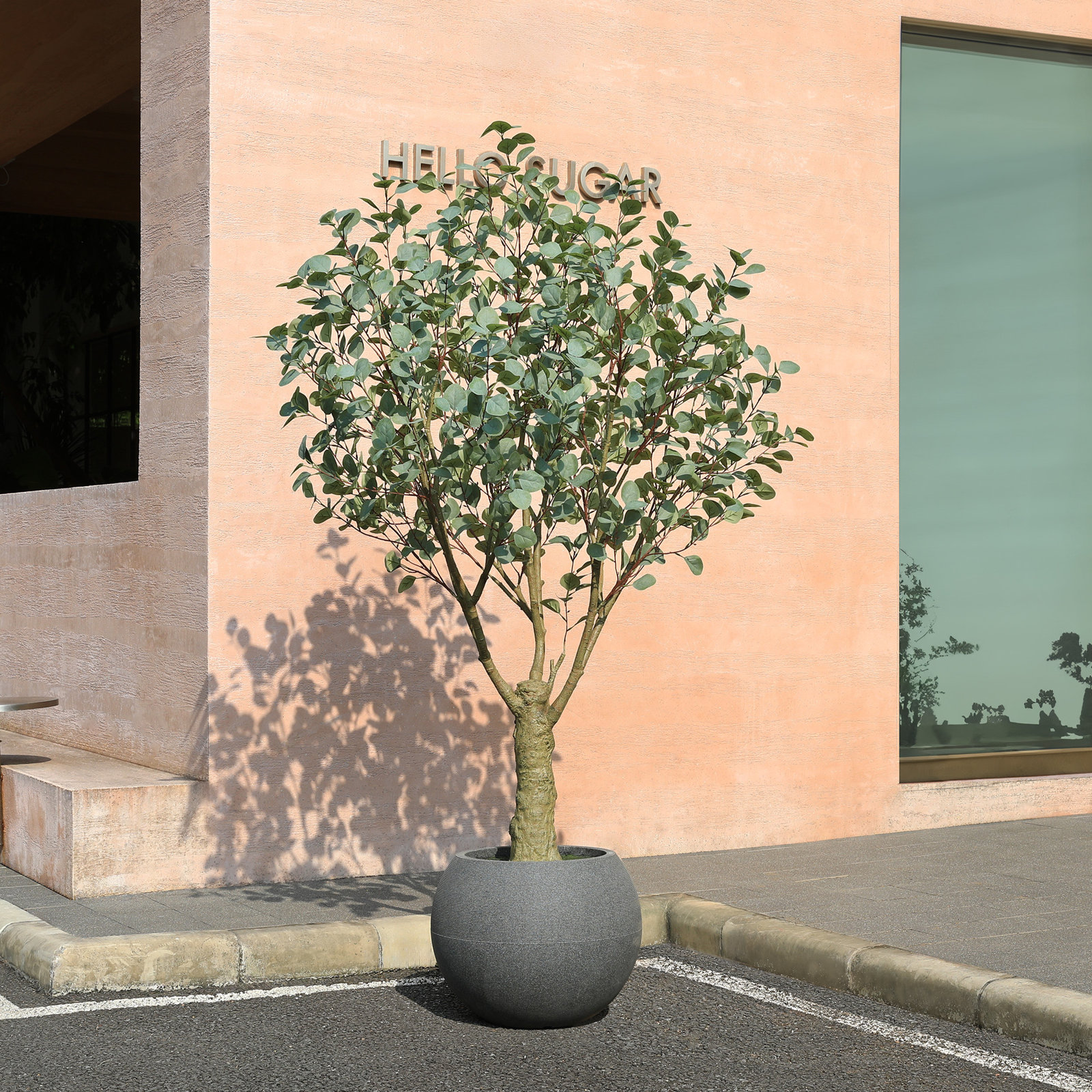 Aldery 84" Eucalyptus Tree in Planter