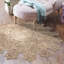 Aiesha Hand Braided Indoor Rug-263572514