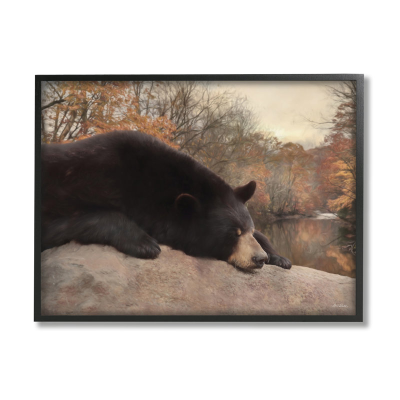 Ours au repos, automne, feuillage lac noir, estampe numérique par Lori Deiter, Giclée encadrée noir minuit