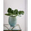 Spitzy Handmade Ceramic Table Vase