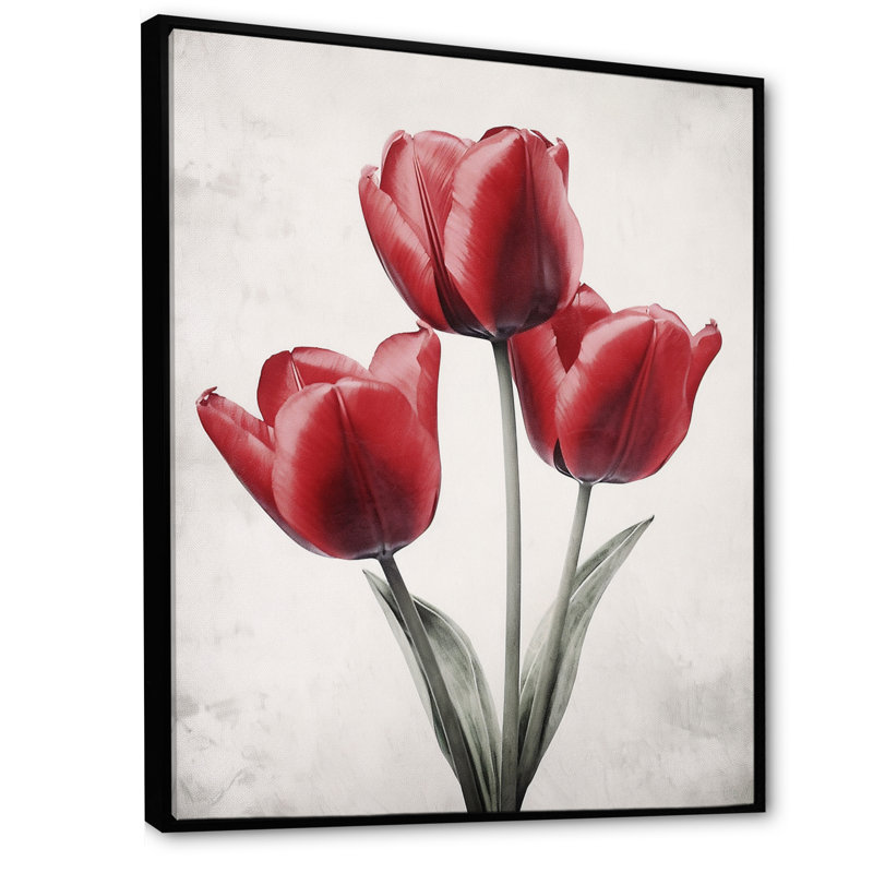 Tulip Dreams I, Black Floater Framed, 32" H x 24" W x 1" D