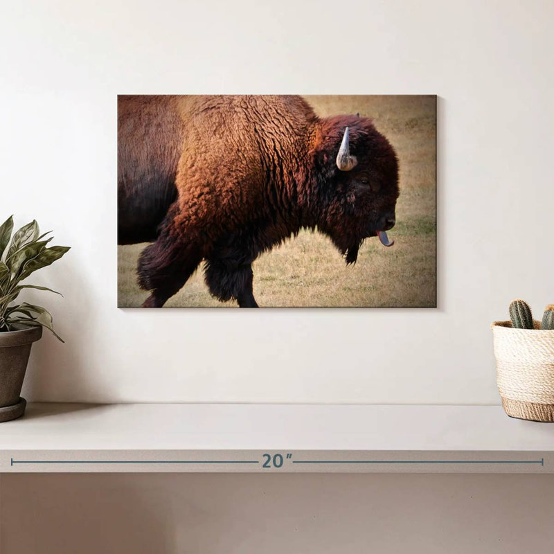 Tongue Wagging Bison, 8" H x 12" W