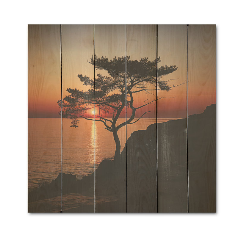 Coastal Tree Panorama I - coucher de soleil côtier, art mural sur bois de pin naturel, H 15 po x l 15 po