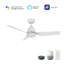 Roque 44'' Smart Ceiling Fan with Remote, Light Kit Included,Works with Google Assistant and Amazon Alexa,Siri Shortcut.