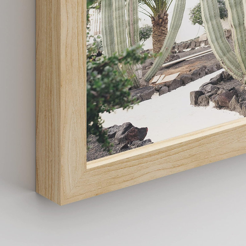 «Cactus Desert», reproduction encadrée de 4 pièces, H 14 po x l 11 po x P 1 po, Encadré naturel