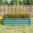 Srihaas Planter Box