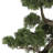Faux Cedar Plant in Planter-5848699