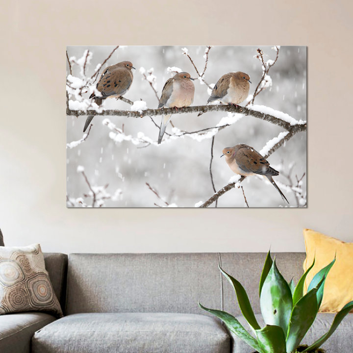 «Mourning Dove Group in Winter», Nouvelle-Écosse, Canada I par Scott Leslie - reproduction de photo, Toile tendue
