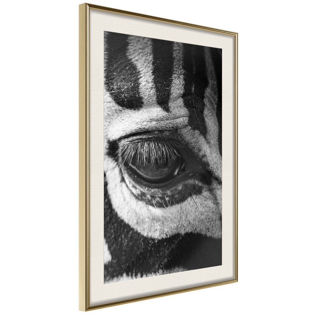 Gerahmter Fotodruck Zebra Is Watching You