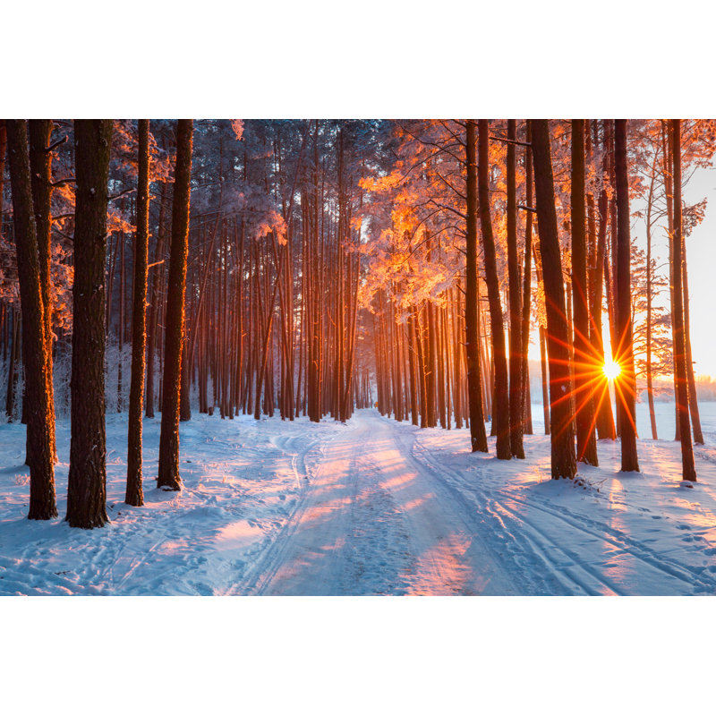 Nature de Noël, H 12 po x l 18 po