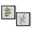 «Kitchen Garden I», ensemble de 2 reproductions d'art encadrées-2054049728-2054049734-2054049733