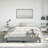Rense Bed, Fabric Upholstered Platform Bed, No Mattress-1425328858-1425328859