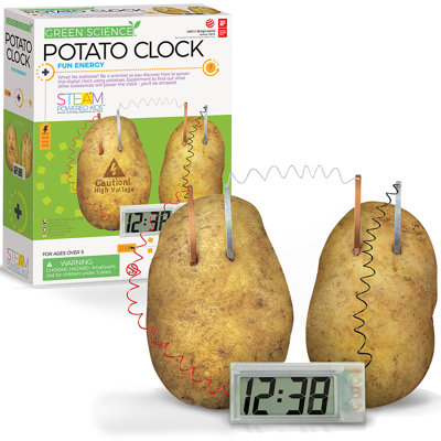 4M: Green Science: Potato Clock - DIY & Experience Battery-Free Renewable Energy, Power A Digital Clock, STEM Learning Craft Activity Kit, Kids Age 5+