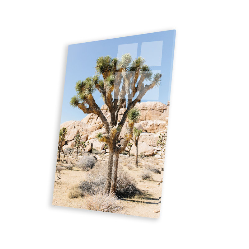 «Desert Landscape V», Joshua Tree, California sur plastique / acrylique par Lovelyltlehomeco, peinture